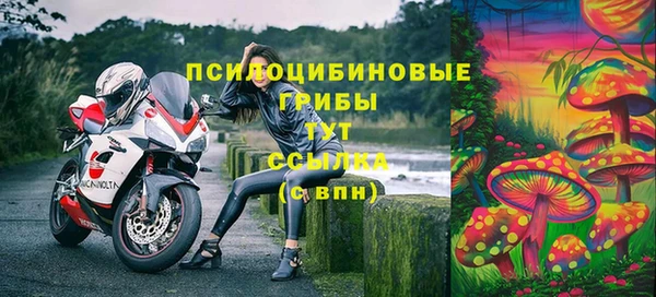 шишки Балабаново